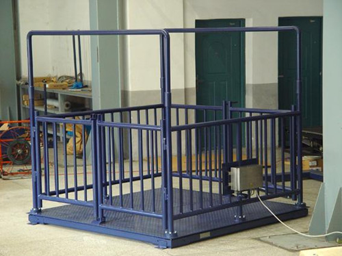 畜牧秤_畜牧秤價格_供應稱豬稱牛等動物專用畜牧秤(圖2) 畜牧秤